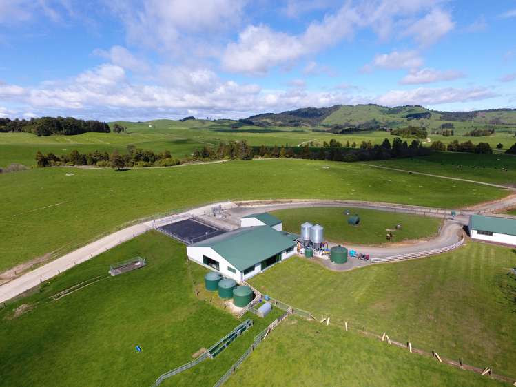 118 Huirimu Road Wharepapa South_3