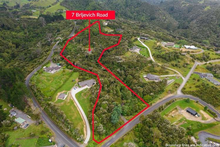 7 Brljevich Road Mangatawhiri_2