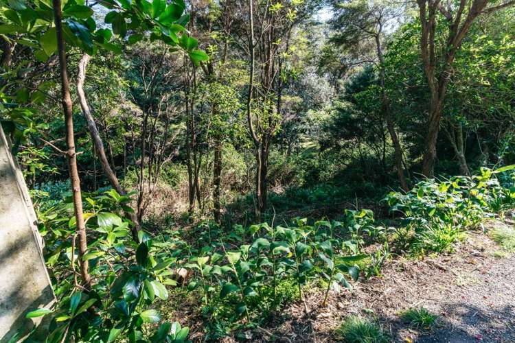 12 Obrien Road Omiha_8