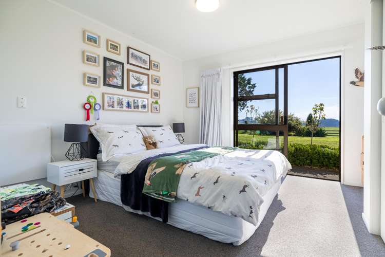 485 Chapman Road Pukekawa_8