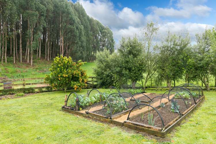 265c Hakarimata Road Ngaruawahia_25