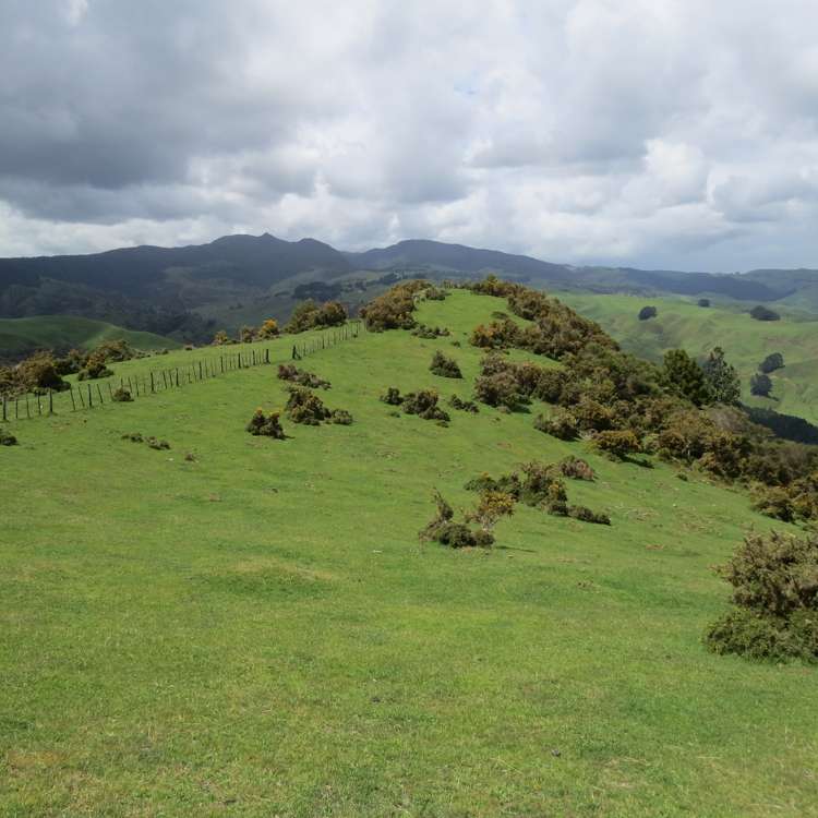 613 Pirongia West Road Oparau_12