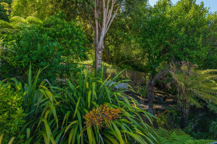 2/41 Douglas Road Wakatu_13