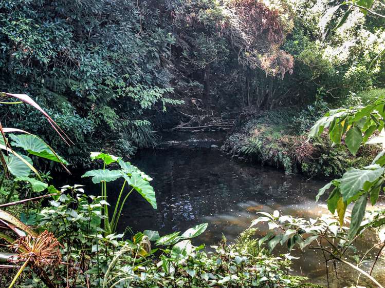 5a Lanark Road Kerikeri_18