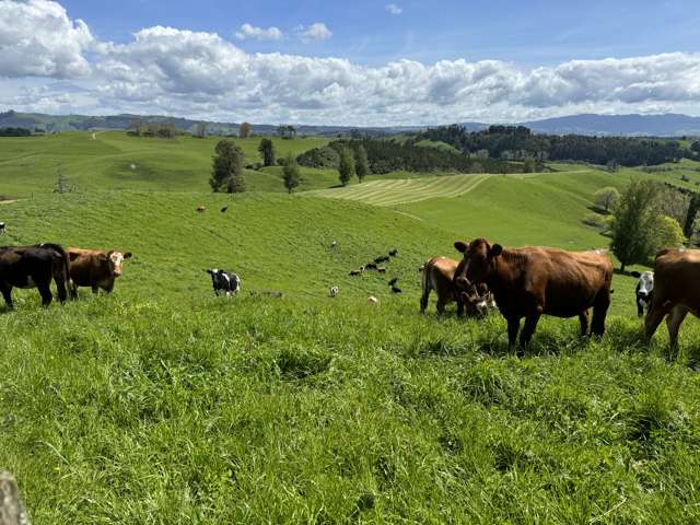 Productive Grazing or Support Block