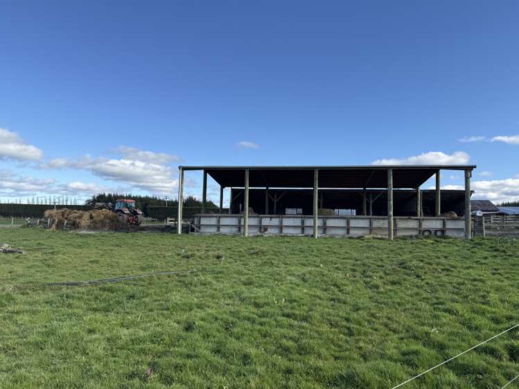 169 Hamilton Road Isla Bank_16