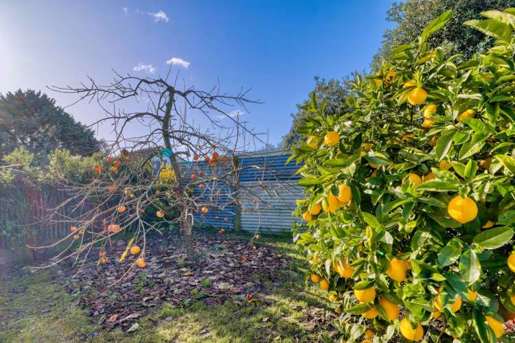 44 Livingstone Road Flaxmere_14