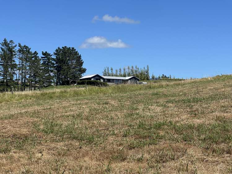 4 Matahehe Lane Tinopai_16