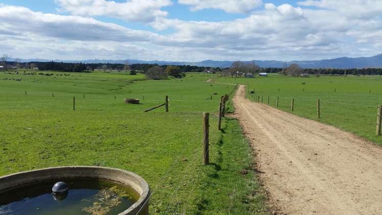 Morrinsville-Tahuna Road Morrinsville_14