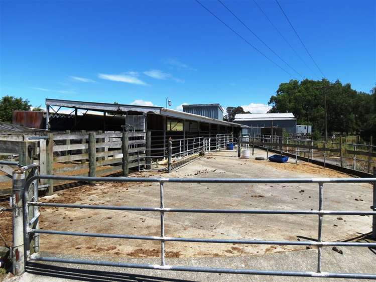 109 Wilson Road Upper Moutere_8