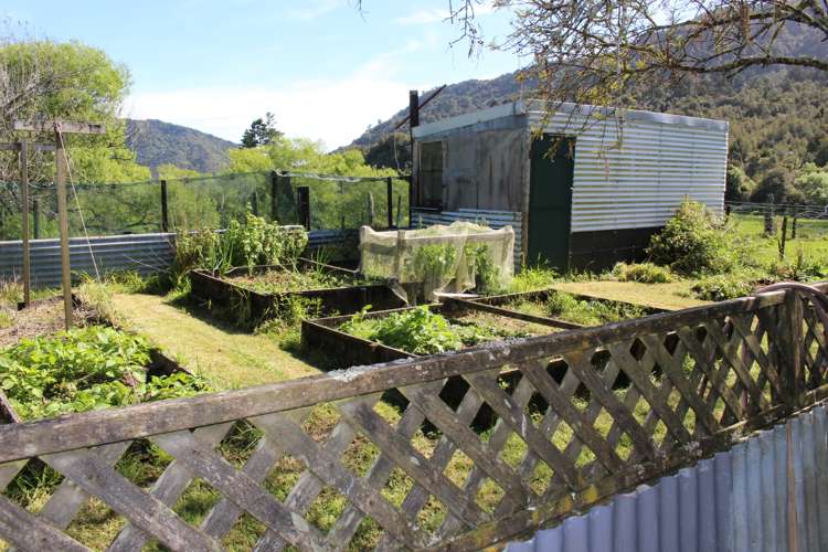 19 Baty Place Coal Creek_68