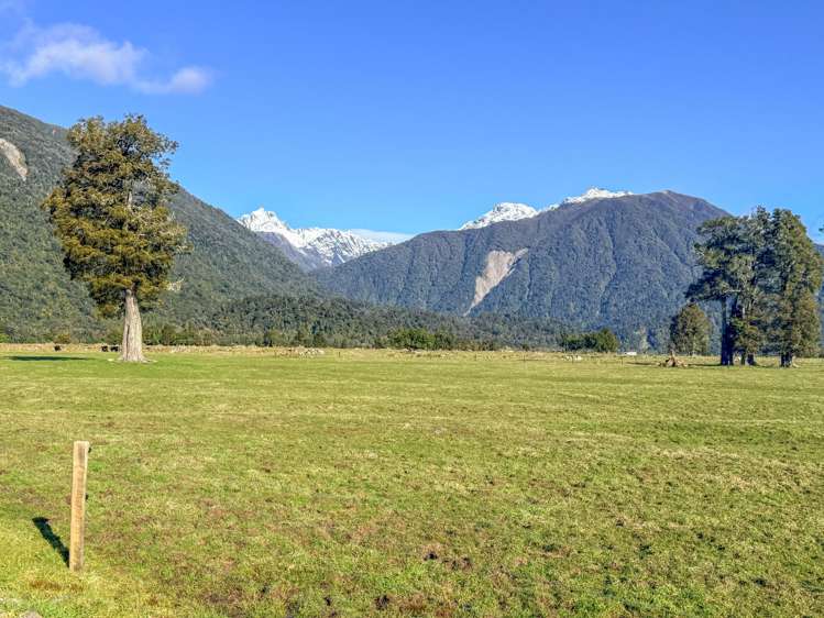 288 State Highway 6 Fox Glacier_6