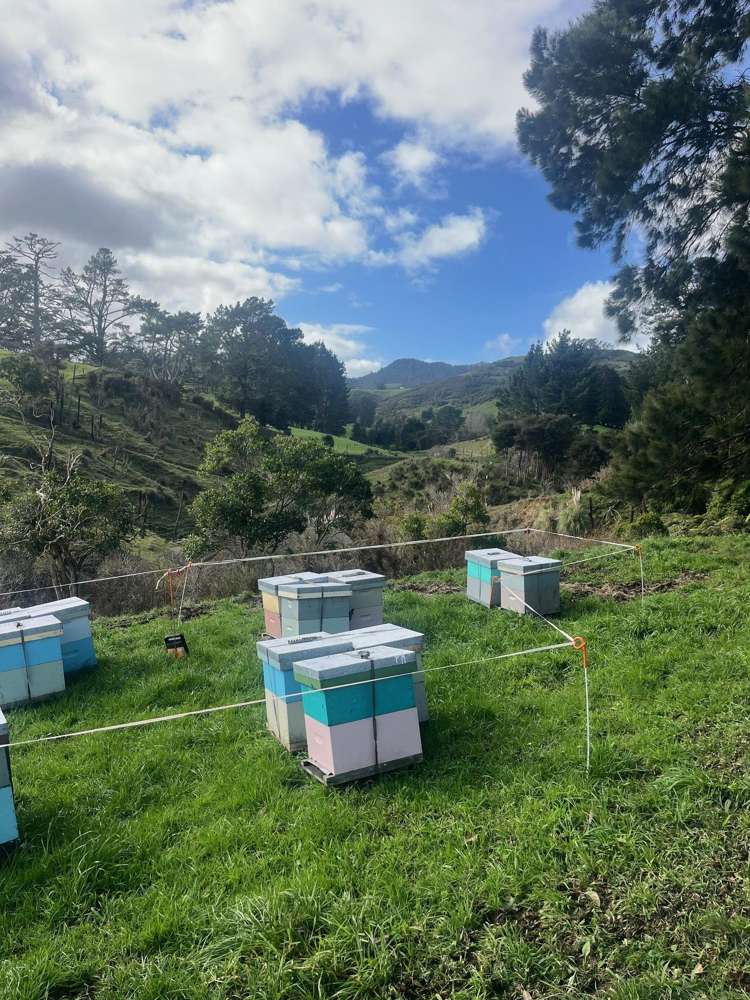 7541 State Highway 2 Paeroa_8