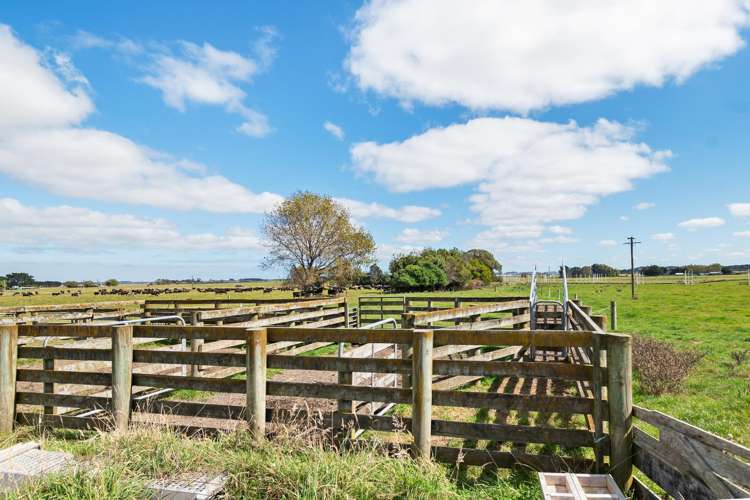 3125 State Highway 1 Sanson_32