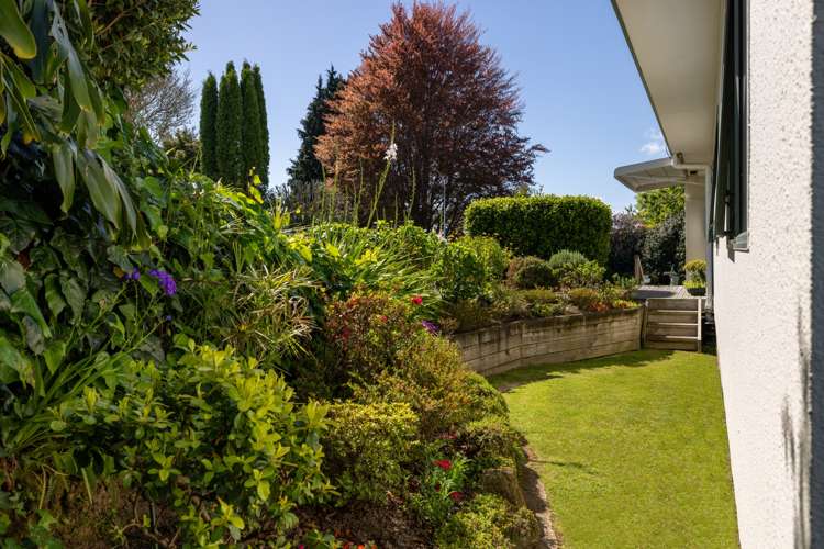 56 Kiteroa Street Greerton_9