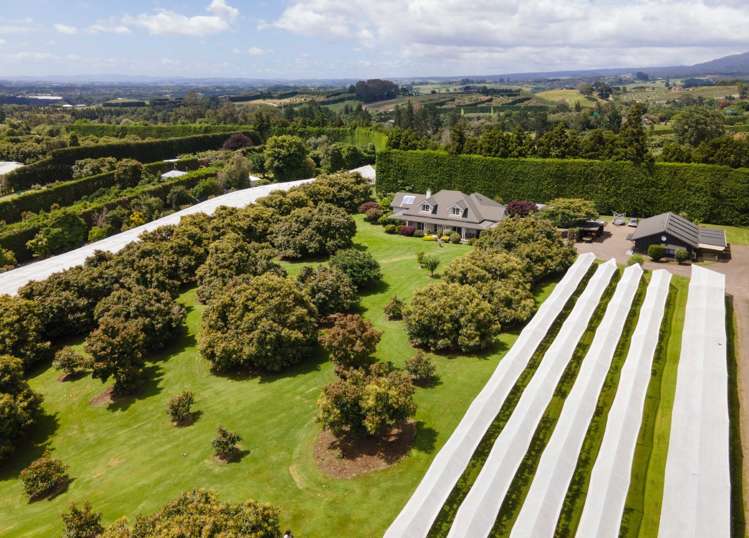 241 Rea Road Hauraki Surrounds_25