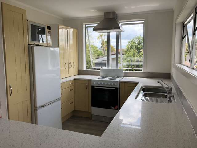 22 Vincent Street Howick_3