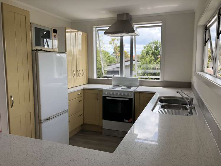 22 Vincent Street Howick_3