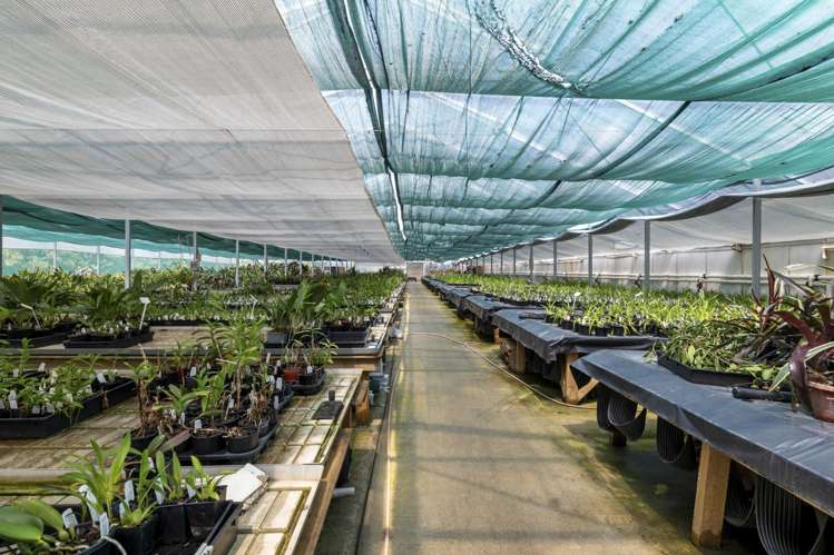 1370 East Coast Road Redvale_13