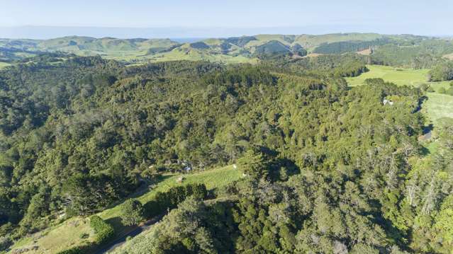 LOT 8/225 Awhitu Central Road Awhitu_4