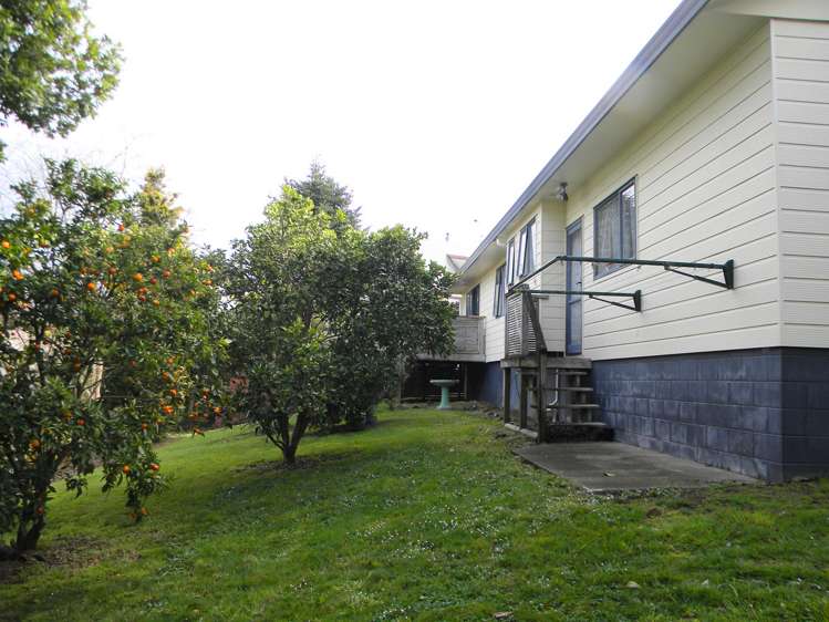 693 Picquet Hill Road Te Awamutu_7