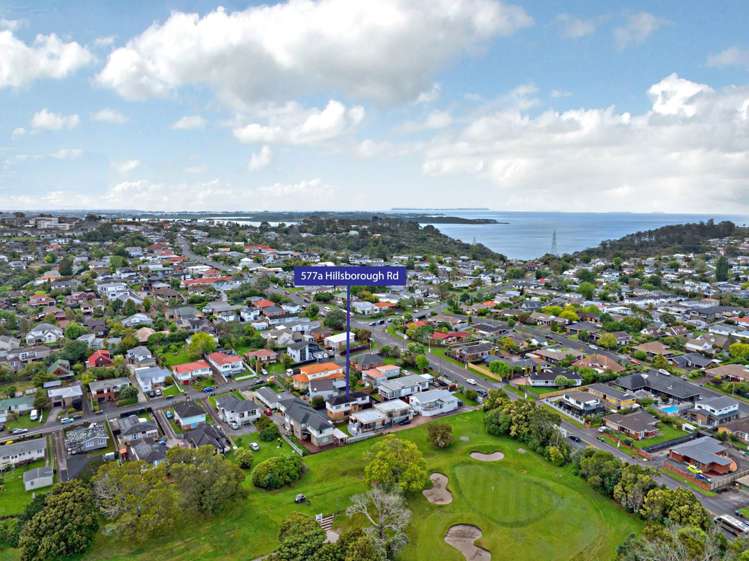 577a Hillsborough Road Mount Roskill_15