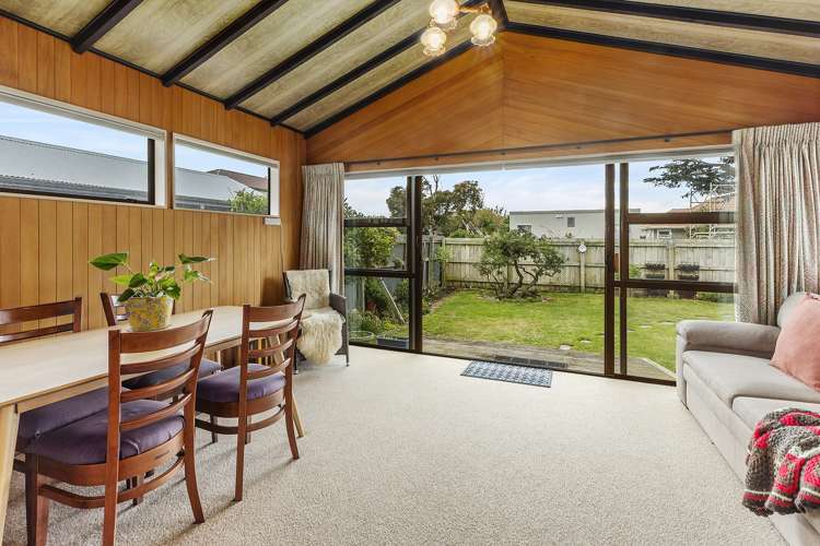 77 Devonshire Road Miramar_12