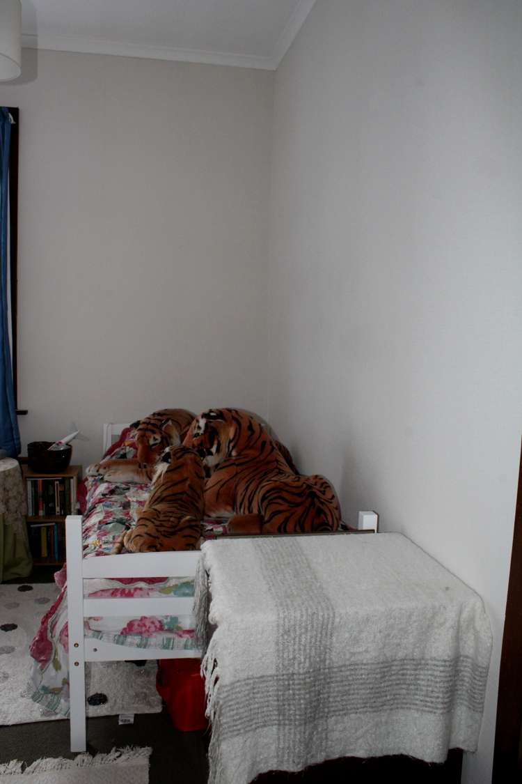 7 Lewin Street Balclutha_15