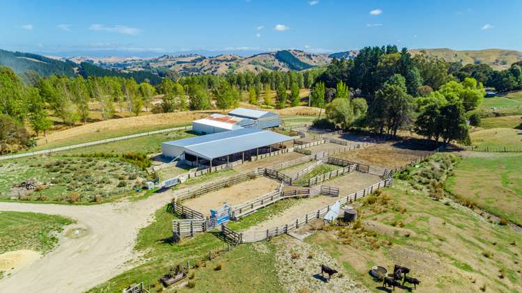 219 Te Kanuka Road Masterton_15