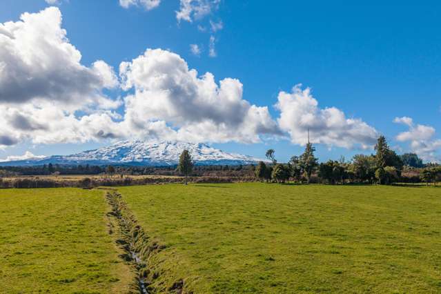 Lot 10/136 Matapuna Road Horopito_4