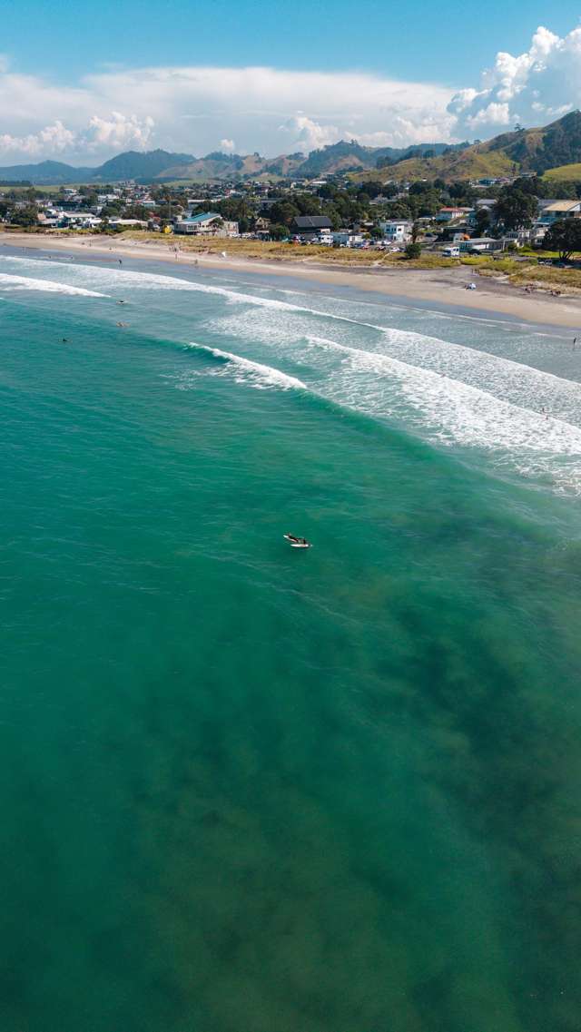 Citrus Avenue Waihi Beach_4