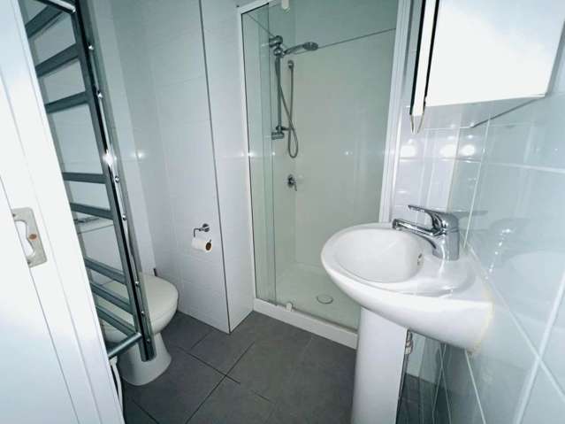 147 Hobson street 10015_3