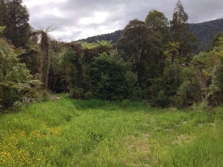 7 Punga Grove Lake Kaniere_7