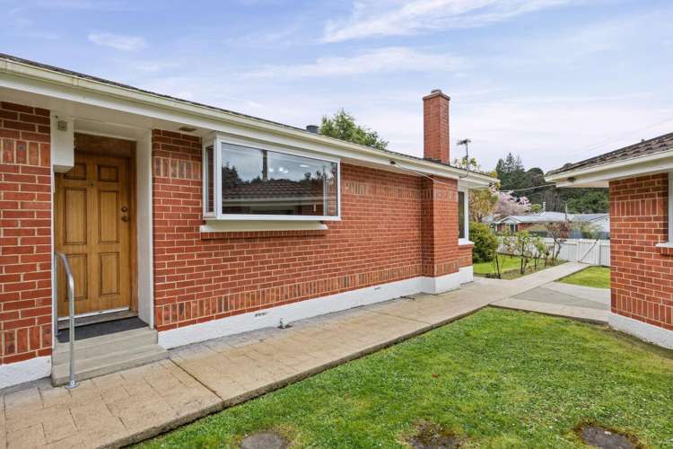 237 Malvern Street Glenleith_15