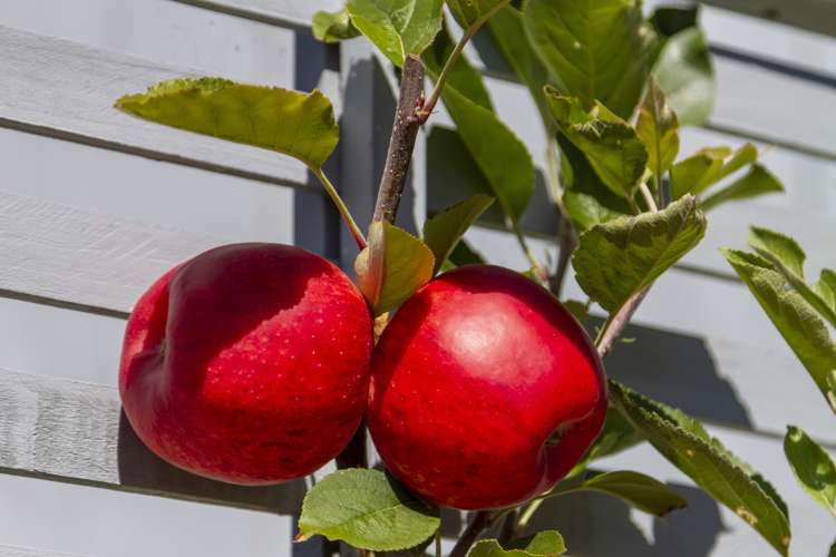 1 Aqua Way Paraparaumu_16