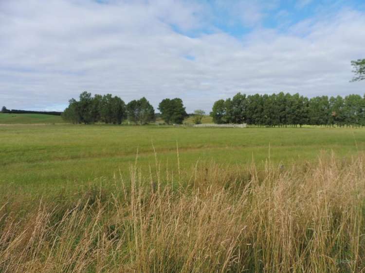 240 Levels Valley Road Levels Valley_6