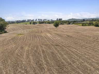 1542 Morrinsville-Walton Road_1