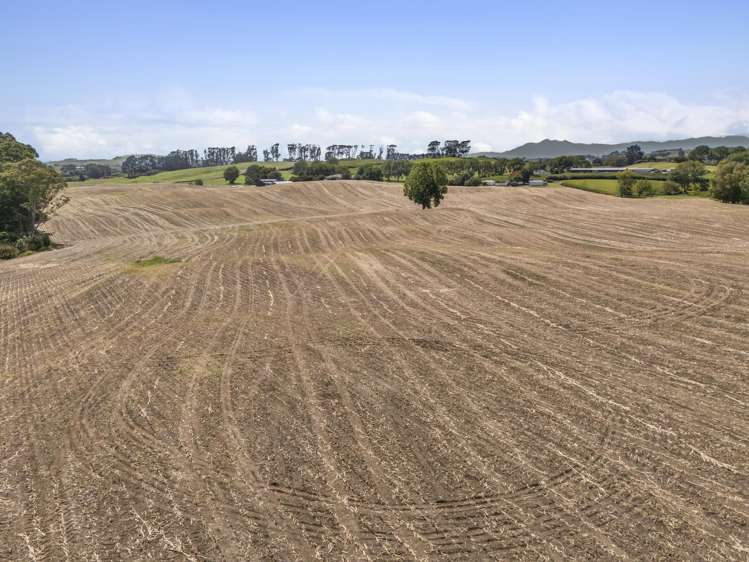 1542 Morrinsville-Walton Road_1