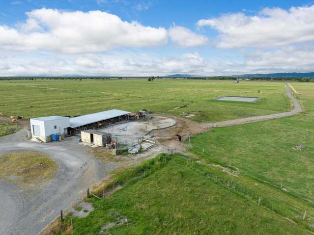 874 Wani Road Paeroa_4