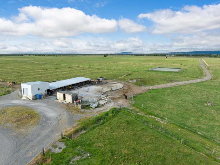 874 Wani Road Paeroa_4