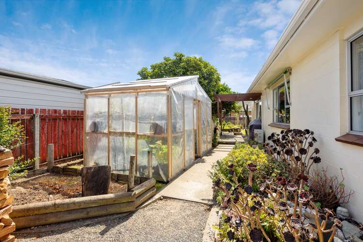 5a Manson Street Redwoodtown_18