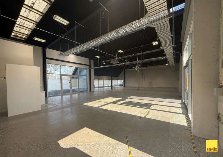 241 Brougham Street Sydenham_3