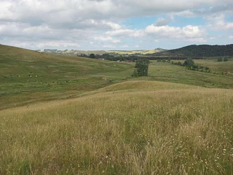 Lot 2 & 3/36 Te Moho Road_2