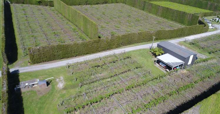 566 Belk Road Kaimai_13