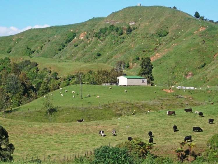 446 Stanley Road Te Popo_43