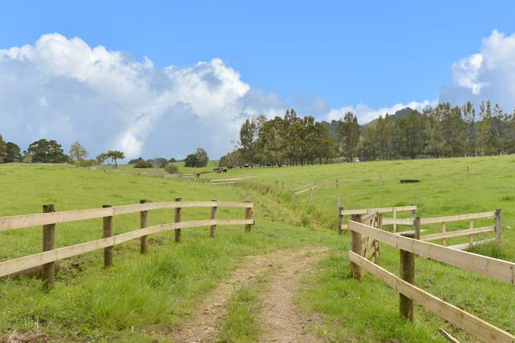 269 Tangihua Road Maungakaramea_19