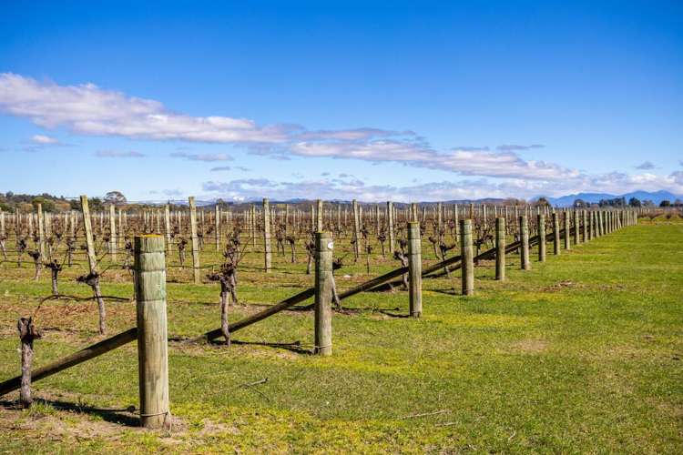 107 State Highway 63 Renwick_6