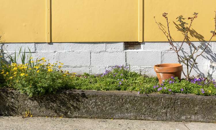 8 Lignite Street Huntly_30