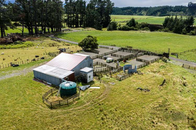 412 France Road Matamau_3