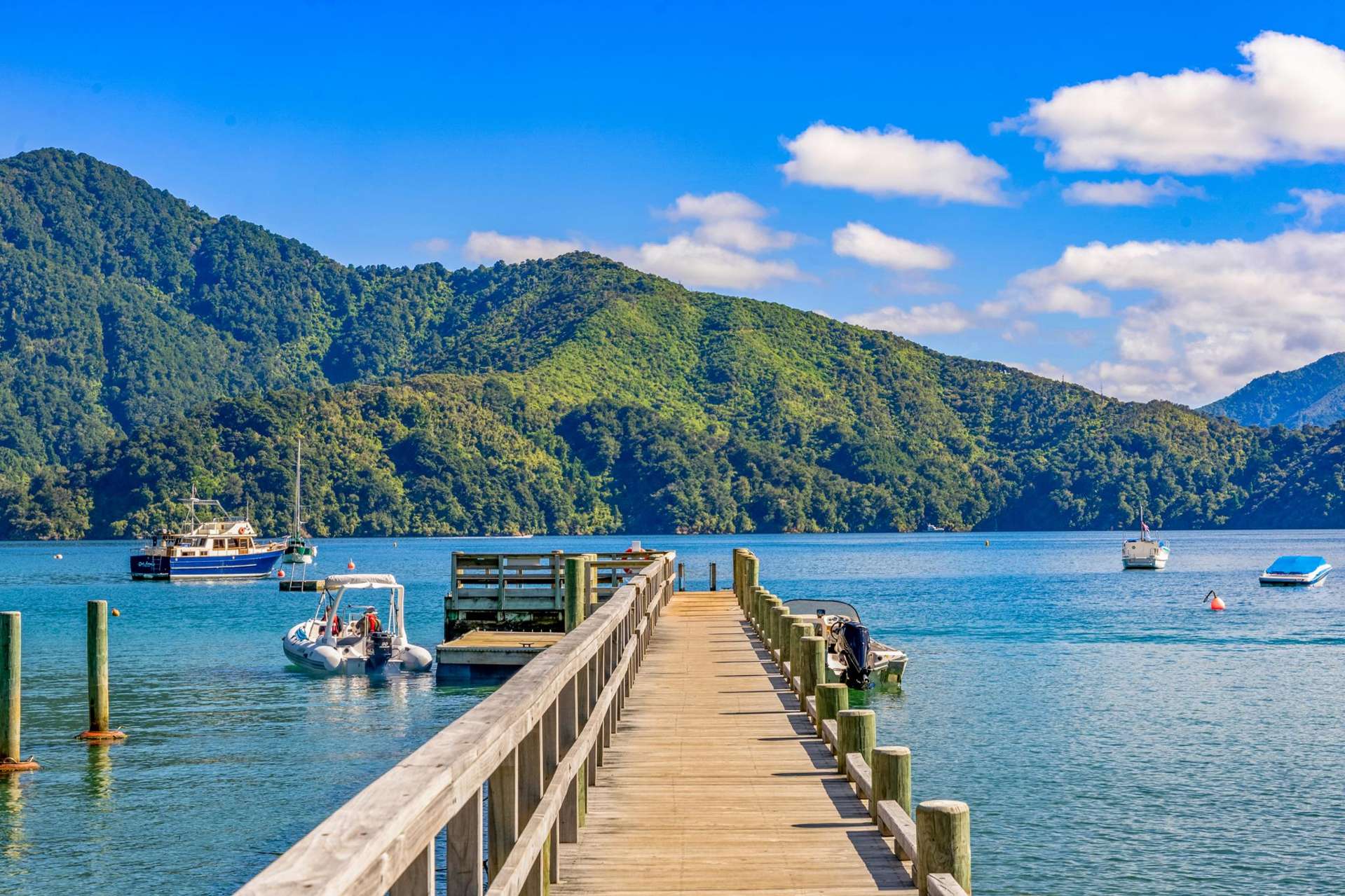 12 Manuka Drive Ngakuta Bay_0